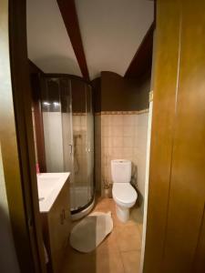 La salle de bains est pourvue de toilettes, d'une douche et d'un lavabo. dans l'établissement La Cabaña, 