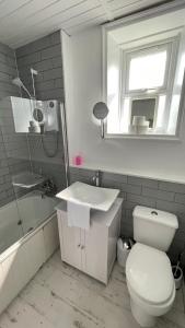 a bathroom with a toilet and a sink and a mirror at North Middleton Apartment in North Middleton