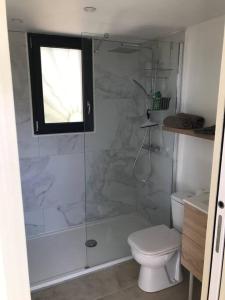 een badkamer met een douche en een toilet bij Studio au calme, grande terrasse avec vue vallée in Ginasservis