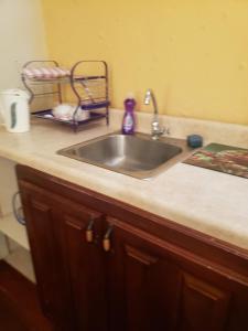 a kitchen counter with a stainless steel sink at Sky Beach Rooms in Hopewell