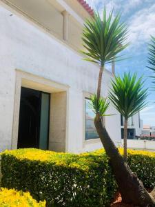 dos palmeras delante de un edificio en RealGoios en Esposende