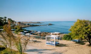 a beach with chairs and umbrellas and the ocean at Ivi Mare - Designed for Adults by Louis Hotels in Paphos