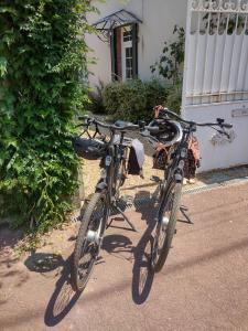 ein Paar Fahrräder, die vor einem Haus geparkt sind in der Unterkunft Le Chêne Olivet in Olivet