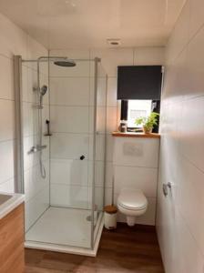 a bathroom with a glass shower and a toilet at De Eekhoorn in Zuidwolde