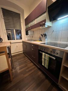 a kitchen with a sink and a stove top oven at Elias 1 und 3 in Erfurt