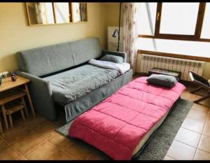 sala de estar con sofá y manta rosa en Apartamento con encanto, en Jaca