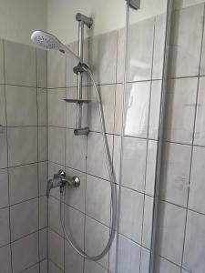 a shower with a shower head in a bathroom at Ferienwohnung Laufenburg in Laufenburg +12 photos