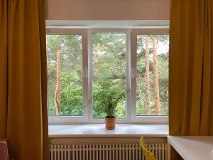 uma janela com um vaso de planta no parapeito da janela em Sunny apartment with lake and forest view em Visaginas