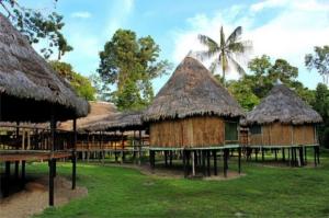 un grupo de cabañas con techos de paja y una palmera en Amazon Wonder Expeditions, en Iquitos