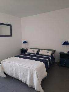 1 dormitorio con 1 cama con 2 almohadas en La petite Pèlerine en Narbonne