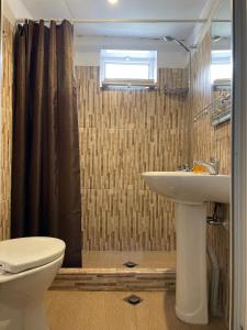 een badkamer met een toilet, een wastafel en een douche bij lileo in Omalo