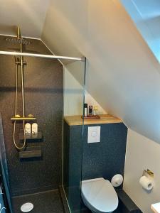 uma casa de banho com um WC e uma cabina de duche em vidro. em Cozy traditional home, Syðrugøta em Syðrugøta