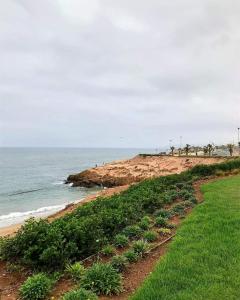 a beach with green grass and the ocean at Couzi Haus Marina in Agadir