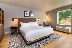 1 dormitorio con 1 cama, 1 silla y 1 ventana en Four Points by Sheraton Deadwood, en Deadwood