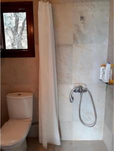 een badkamer met een toilet en een douche met een douchegordijn bij Perivoli in Chorefto