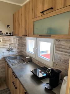eine Küche mit einer Theke mit einem Waschbecken und einem Fenster in der Unterkunft Apartman Petrov in Donji Milanovac