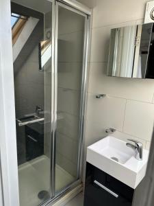 a bathroom with a shower and a sink at Cozy Urban Terraced Studio in London