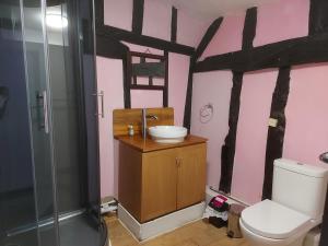 uma casa de banho com um WC, um lavatório e um chuveiro em The Swan Inn em Harwich