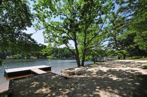 a bench sitting next to a river with a tree at Crazy Idea in Swanton +31 photos