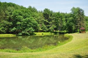 a gazebo next to a pond with a gazebo at Crazy Idea in Swanton
