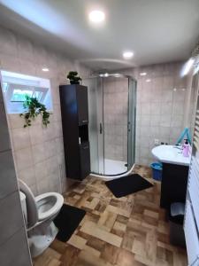 a bathroom with a toilet and a sink and a shower at Chata u Křupalů in Polevsko