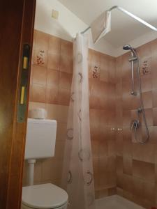 a bathroom with a shower and a toilet at Al comune in Atri