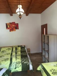 ein Schlafzimmer mit einem Bett und einem Bücherregal in der Unterkunft Prázdninový dům na Pálavě s vinným sklepem in Milovice