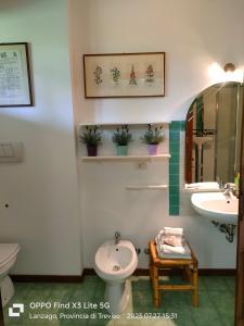 a bathroom with a sink and a toilet and a mirror at Camera floreale in Silea