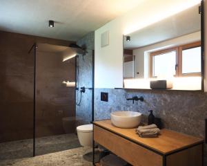 y baño con lavabo, ducha y aseo. en Holzer 2.0, en Brannenburg