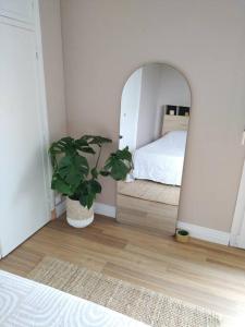 a bedroom with a mirror and a potted plant at Studio cosy aux portes de Caen in Mondeville