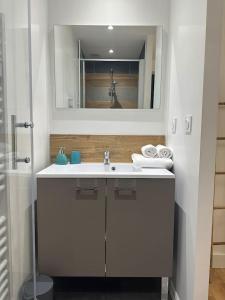 une salle de bain avec un lavabo et un miroir dans l'établissement Le Molière - Hyper Centre - Spacieux - Lumineux, à Mont-de-Marsan