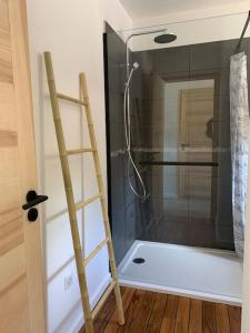- une échelle à côté d'une douche dans la salle de bains dans l'établissement Villa La source & SPA, à Pont-de-Labeaume