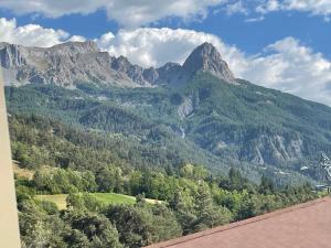 a view of a mountain with trees in front of it at Studio tout confort in Barcelonnette