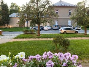 a bunch of flowers in the grass in front of a building at Holičák in Olomouc