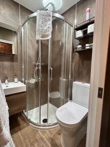 a bathroom with a shower with a toilet and a sink at The Devonshire Villa in Ilfracombe