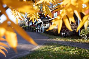 a tree with yellow leaves in front of a street at Åkerblads Hotell Gästgiveri Spa in Tällberg