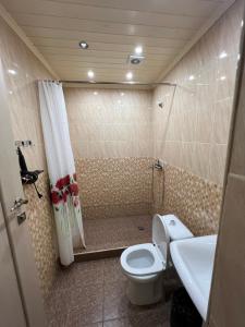 Baño pequeño con aseo y lavamanos en Balkonchik GuestHouse en Dilijan
