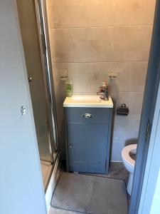 a small bathroom with a toilet and a sink at Romford Cosy Studio Flat in Havering atte Bower