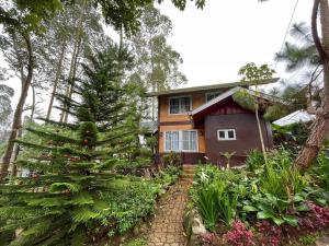 a house with a christmas tree in front of it at Dahilayan Comfy Cabin in Manolo Fortich