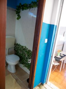 a bathroom with a toilet and a plant at Casa D'Olívia in Carrapateira