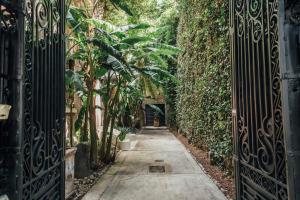 an entrance to a garden through an iron gate at Maison du comte in Mexico City