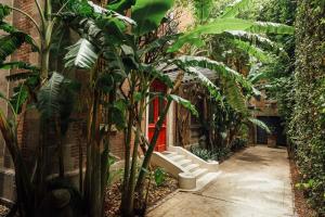 a walkway through a greenhouse with trees and plants at Maison du comte in Mexico City