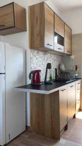 a kitchen with wooden cabinets and a red appliance on a counter at Roof top Gkazi Apartment on Metro exit: “KERAMEIKOS” in Athens