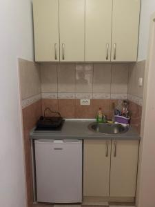 Kuchyň nebo kuchyňský kout v ubytování Anita Guest House