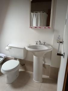 La salle de bains blanche est pourvue de toilettes et d'un lavabo. dans l'établissement Cabañas Nevis, excelente ubicación, à El Calafate