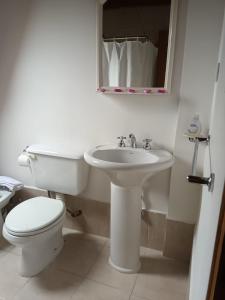 a white bathroom with a toilet and a sink at Cabañas Nevis, excelente ubicación in El Calafate +36 photos