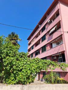 un bâtiment rose avec un palmier devant lui dans l'établissement Sunny Oasis, à Rijeka