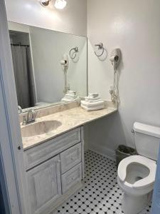 uma casa de banho com um lavatório, um WC e um espelho. em The Hotel Redland em Homestead