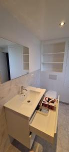 a bathroom with a sink and a toilet at The 16th Century 2BR Apartment in The City Center in Antwerp