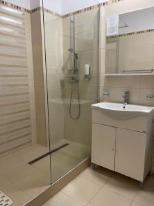 a bathroom with a shower and a sink at Hotel Prestige in Alba Iulia